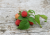 Premium Parrot Food – Branches de Framboisier BIO – Friandise naturelle pour tous les perroquets 100 g de ParrotPlanet.fr