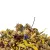 Back Zoo Nature - Mix Kwiatowy dla papug 35g od ParrotPlanet.pl