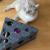 Cheese Cat | Canadian Cat | Zabawka dla KOTA | Interaktywna | 28x28x13 cm od ParrotPlanet.pl-8.jpeg