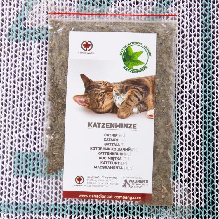 Satellite 2.0. | Drapak LOVE dla KOTA | Canadian Cat | Turkus od ParrotPlanet.pl-1.jpeg