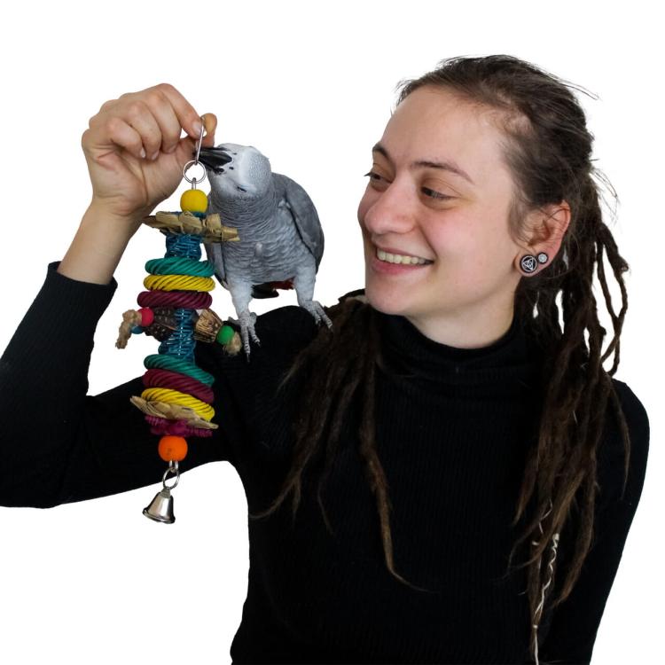Little Jungle - Zabawka dla małych i średnich papug od ParrotPlanet.pl