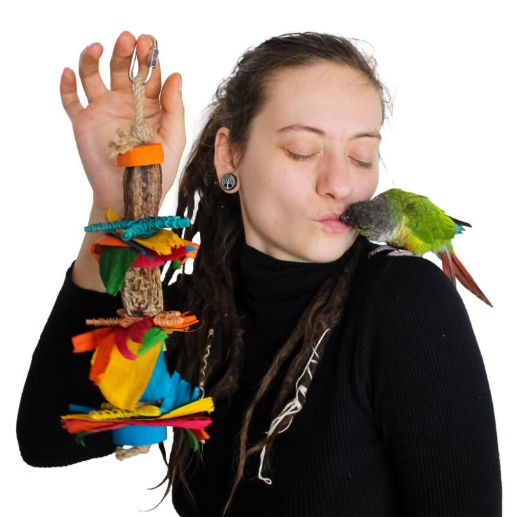 Sweet Delight - Zabawka dla średnich papug od ParrotPlanet.pl