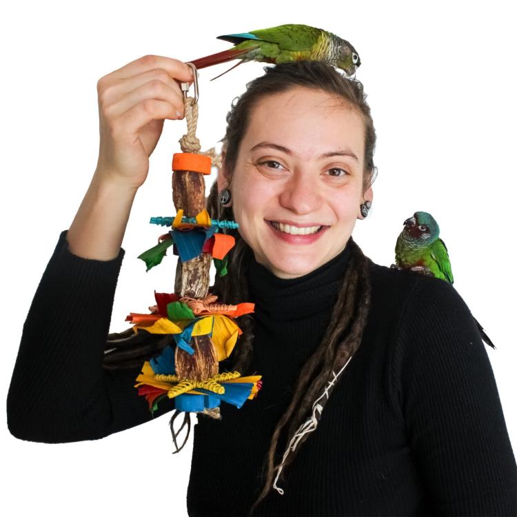 Sweet Delight - Zabawka dla średnich papug od ParrotPlanet.pl