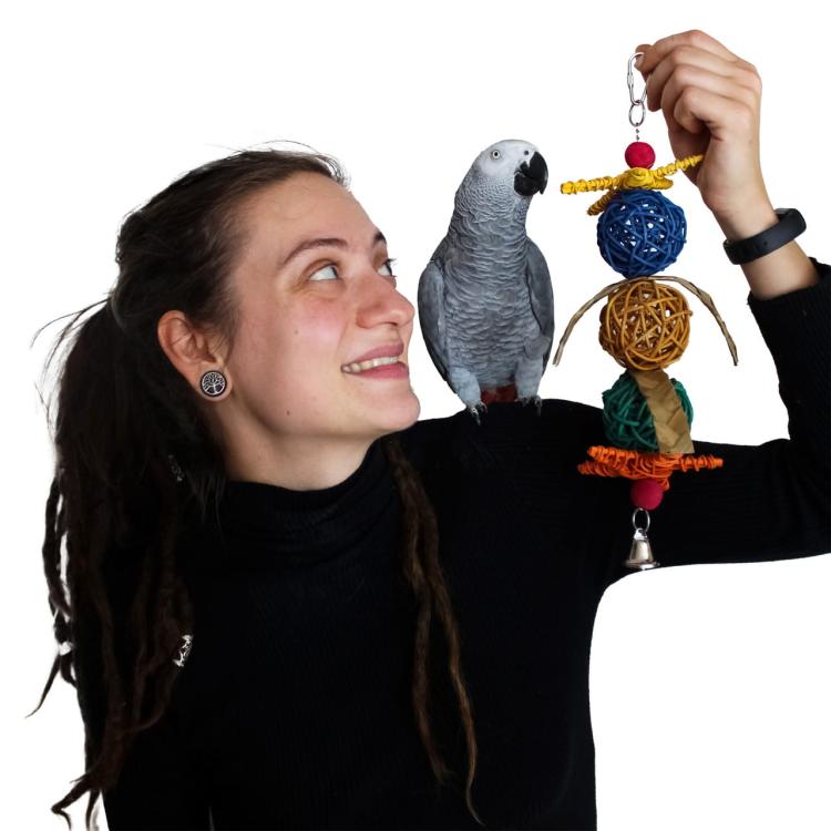 Potrójne Piłeczki - Zabawka dla małych i średnich papug od ParrotPlanet.pl