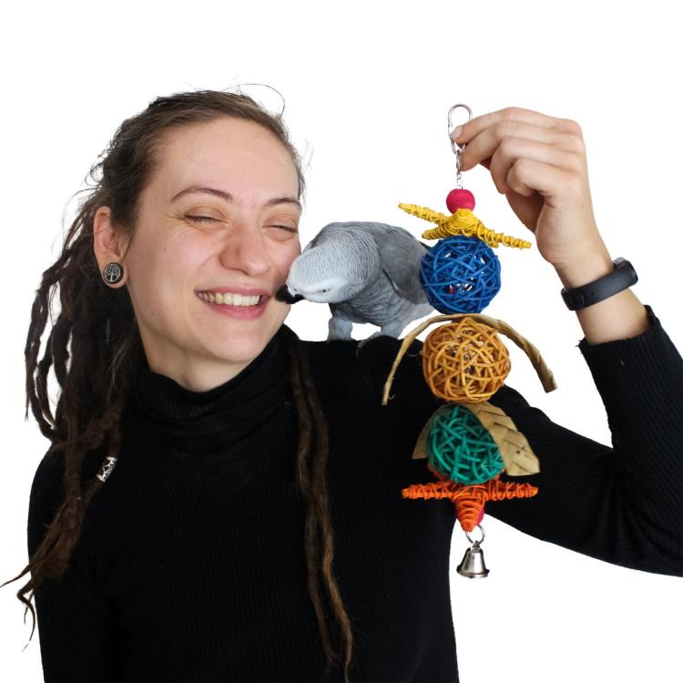 Potrójne Piłeczki - Zabawka dla małych i średnich papug od ParrotPlanet.pl