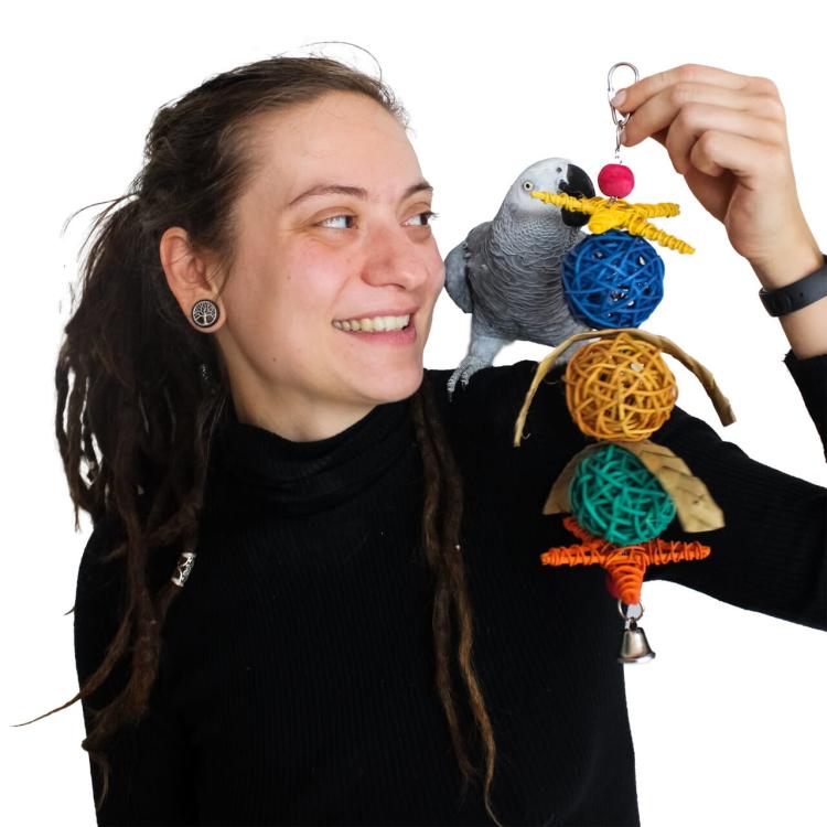Potrójne Piłeczki - Zabawka dla małych i średnich papug od ParrotPlanet.pl