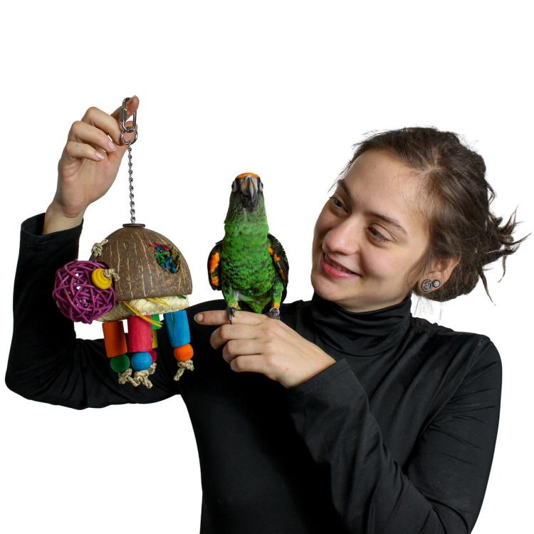 Coconut turtle - Zabawka dla średnich papug od ParrotPlanet.pl