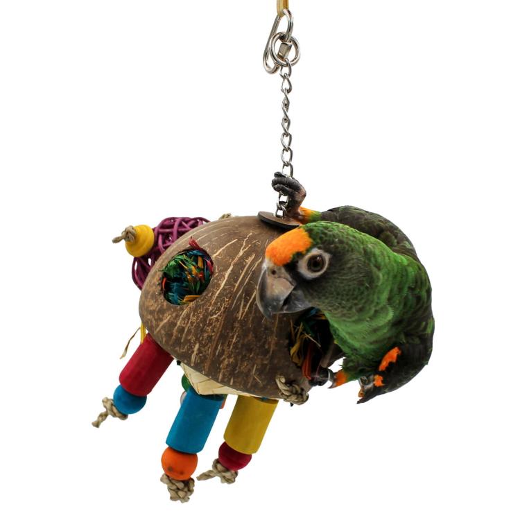 Coconut turtle - Zabawka dla średnich papug od ParrotPlanet.pl