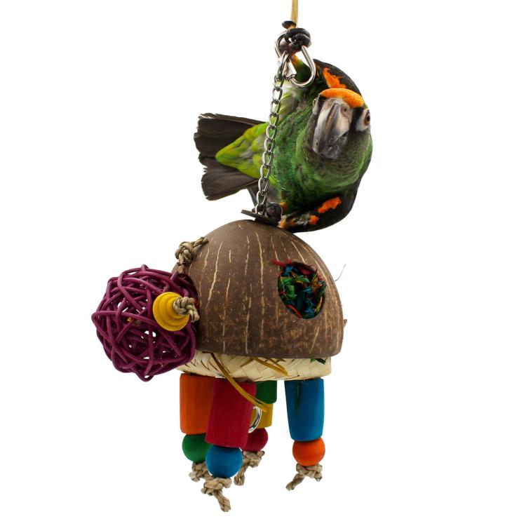 Coconut turtle - Zabawka dla średnich papug od ParrotPlanet.pl