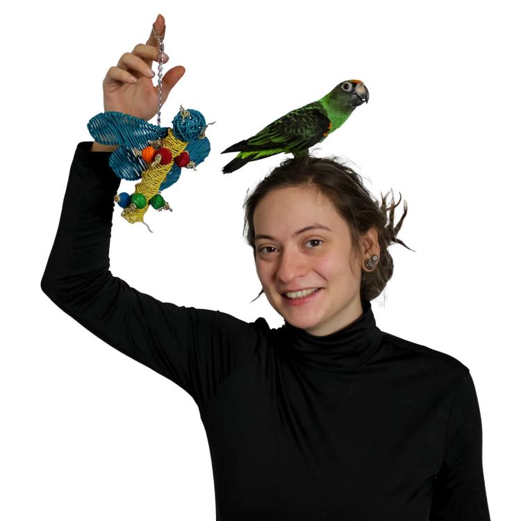 Motylek - Zabawka dla małych papug od ParrotPlanet.pl