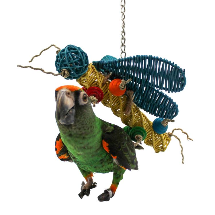 Motylek - Zabawka dla małych papug od ParrotPlanet.pl
