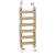 Wonderful Ladder - Zabawka dla małych i średnich papug od ParrotPlanet.pl