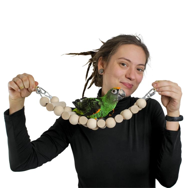 Wonderful Ladder - Zabawka dla małych i średnich papug od ParrotPlanet.pl