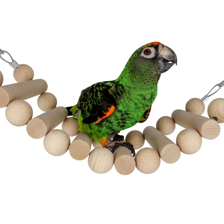 Wonderful Ladder - Zabawka dla małych i średnich papug od ParrotPlanet.pl