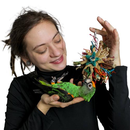 Mini Dyski - Zabawka dla małych i średnich papug od ParrotPlanet.pl