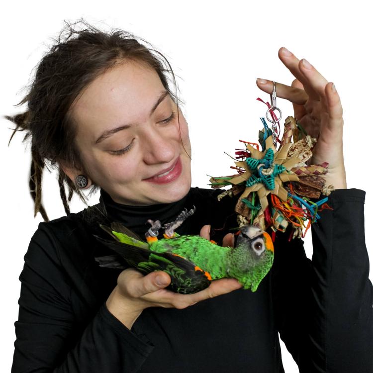 Mini Dyski - Zabawka dla małych i średnich papug od ParrotPlanet.pl