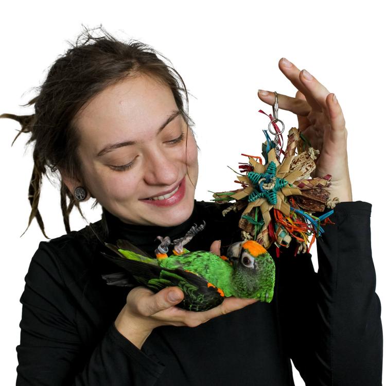Mini Dyski - Zabawka dla małych i średnich papug od ParrotPlanet.pl