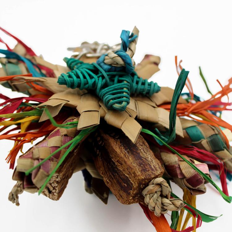 Mini Dyski - Zabawka dla małych i średnich papug od ParrotPlanet.pl