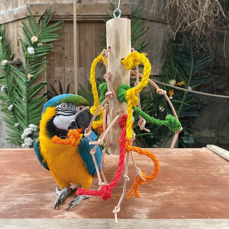 Java ze Sznurkami - Naturalna Zabawka dla Średnich i Dużych PaPug od ParrotPlanet.pl