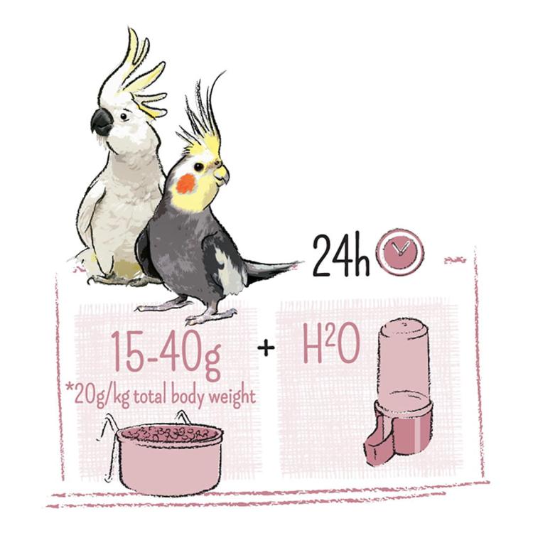WITTE MOLEN PUUR LARGE PARAKEET 2kg | pokarm dedykowany dla Nimf, Kakadu i innych Papug Australijskich od ParrotPlanet.pl