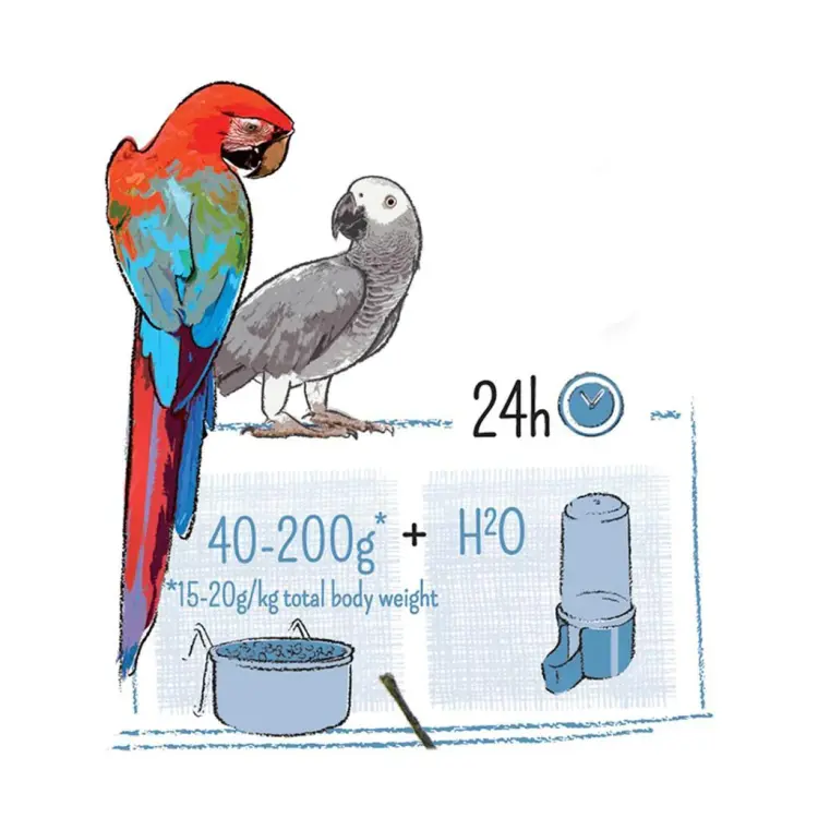 WITTE MOLEN PUUR PARROT 2kg | pokarm dedykowany dla Ar, Żako, Amazonek i innych Dużych Papug od ParrotPlanet.pl