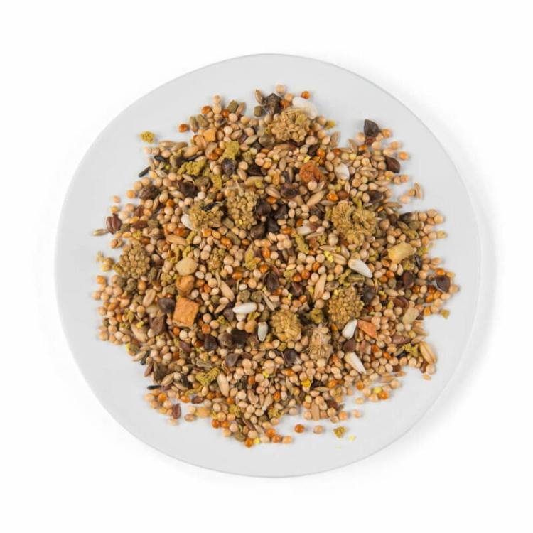 WITTE MOLEN PUUR BUDGIE 750g | pokarm dedykowany dla papużek falistych od ParrotPlanet.pl