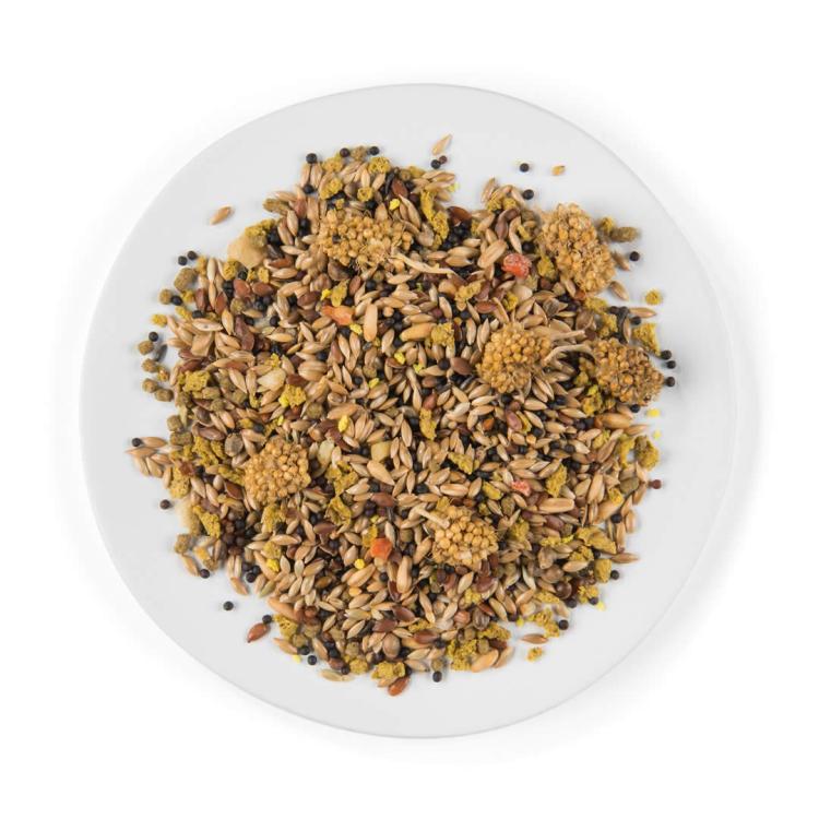 WITTE MOLEN PUUR CANARY 750g | pokarm dedykowany dla kanarków od ParrotPlanet.pl