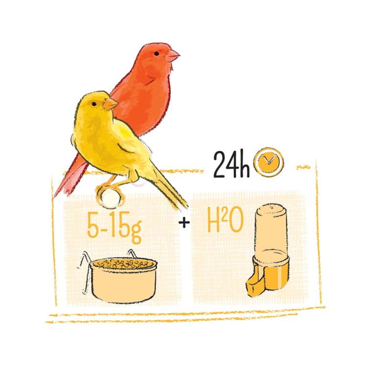 WITTE MOLEN PUUR CANARY 750g | pokarm dedykowany dla kanarków od ParrotPlanet.pl