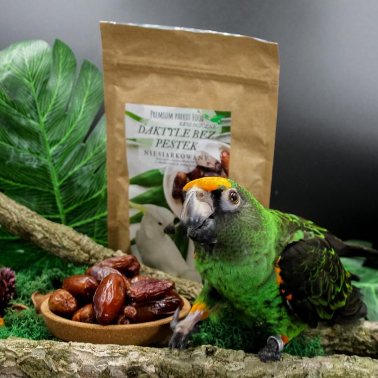 Premium Parrot Food- Ekologiczne daktyle dla wszystkich papug 100g od ParrotPlanet.pl