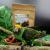 Premium Parrot Food- Ekologiczne daktyle dla wszystkich papug 100g od ParrotPlanet.pl