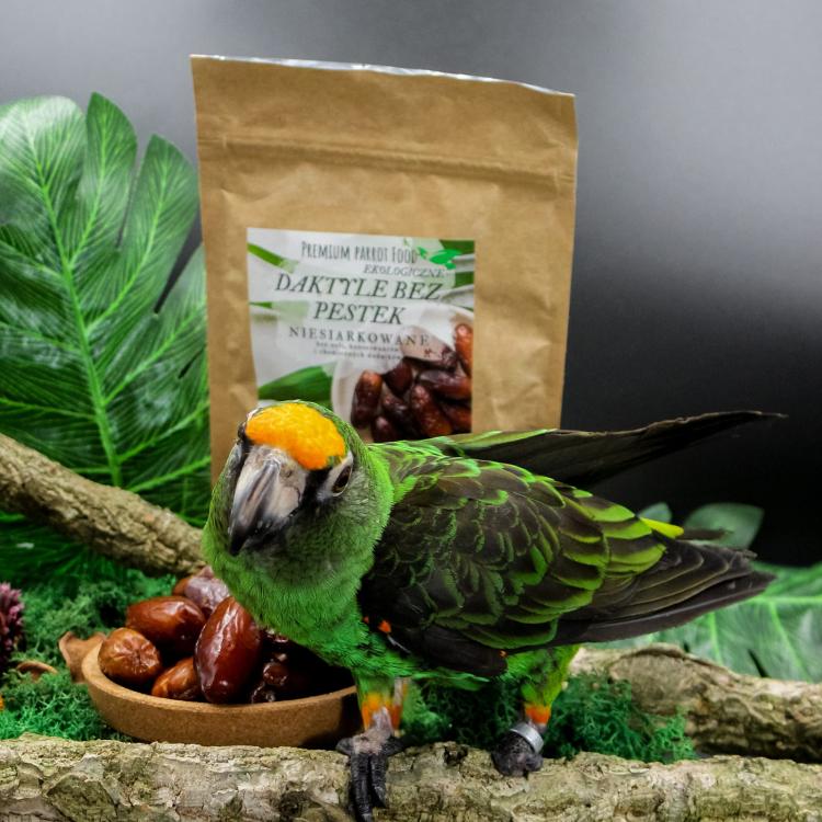 Premium Parrot Food- Ekologiczne daktyle dla wszystkich papug 100g od ParrotPlanet.pl