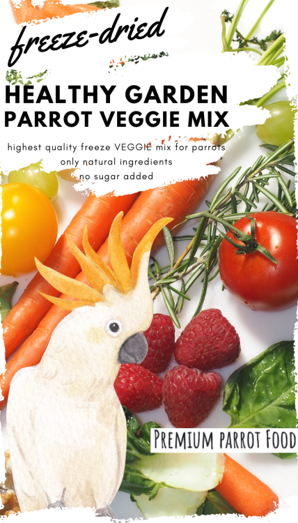 Premium Parrot Food - Healthy Garden Veggie Mix - dla wszystkich papug 30g od ParrotPlanet.pl