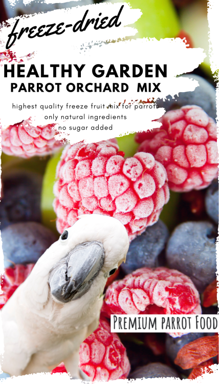 Premium Parrot Food - Healthy Garden Orchard - dla wszystkich papug 40g od ParrotPlanet.pl