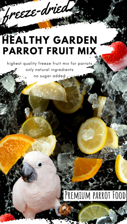 Premium Parrot Food - Healthy Garden Fruit Mix - dla wszystkich papug 40g od ParrotPlanet.pl