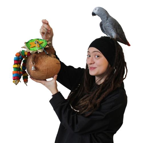 Coconut Monkey - Zabawka dla średnich i dużych papug od ParrotPlanet.pl
