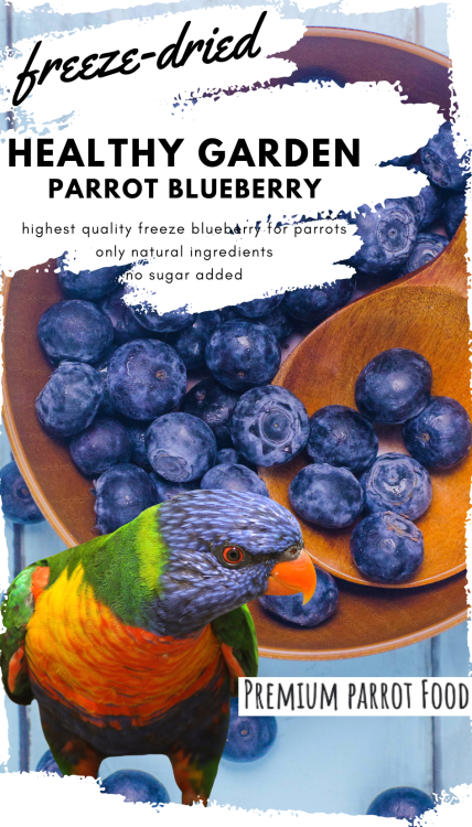 Premium Parrot Food - Healthy Garden Bluberry - dla wszystkich papug 30g