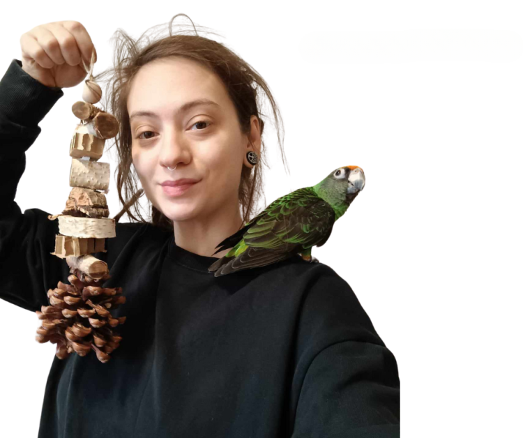 Szyszka na gigancie - zabawka dla małych i średnich papug od PARROT DISASTER od ParrotPlanet.pl