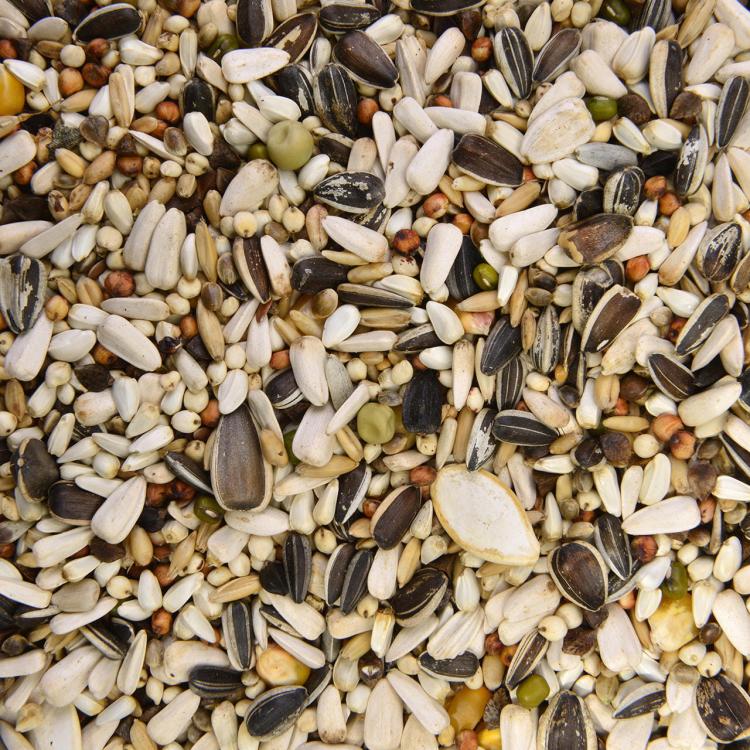 Wagner's - mix bez orzechów dla wszystkich papug 1kg od ParrotPlanet.pl