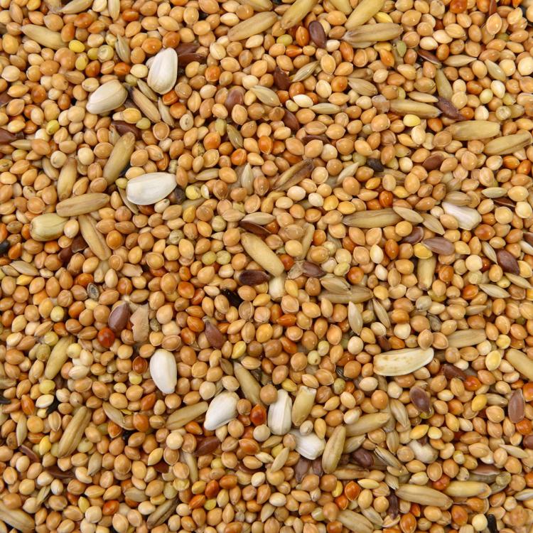 Wagner's Parakeet Food Carnival Basic - Zbilansowany pokarm dla papużek falistych i innych małych papug 500g od ParrotPlanet.pl