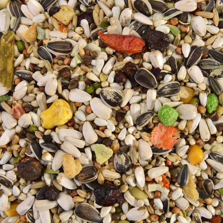 Tropical Carnival Wagner's - mix owocowy dla wszystkich papug 2,5kg od ParrotPlanet.pl