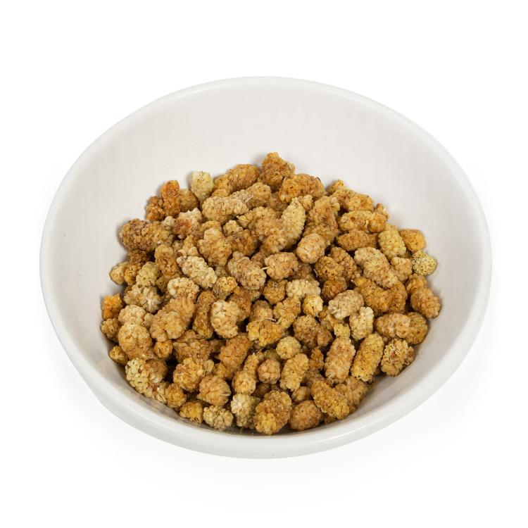 Wagner's - Morwa suszona dla wszystkich papug 100g od ParrotPlanet.pl