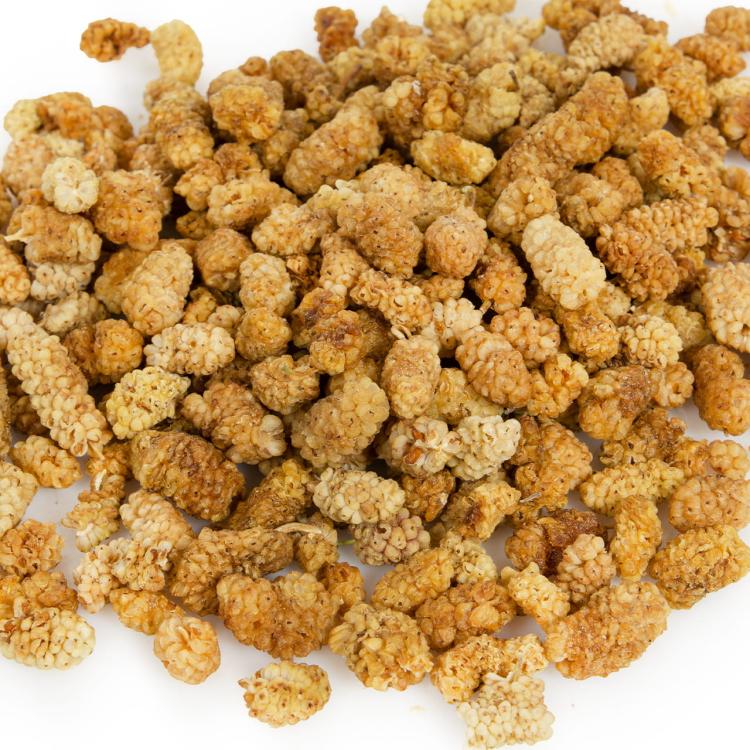 Wagner's - Morwa suszona dla wszystkich papug 100g od ParrotPlanet.pl