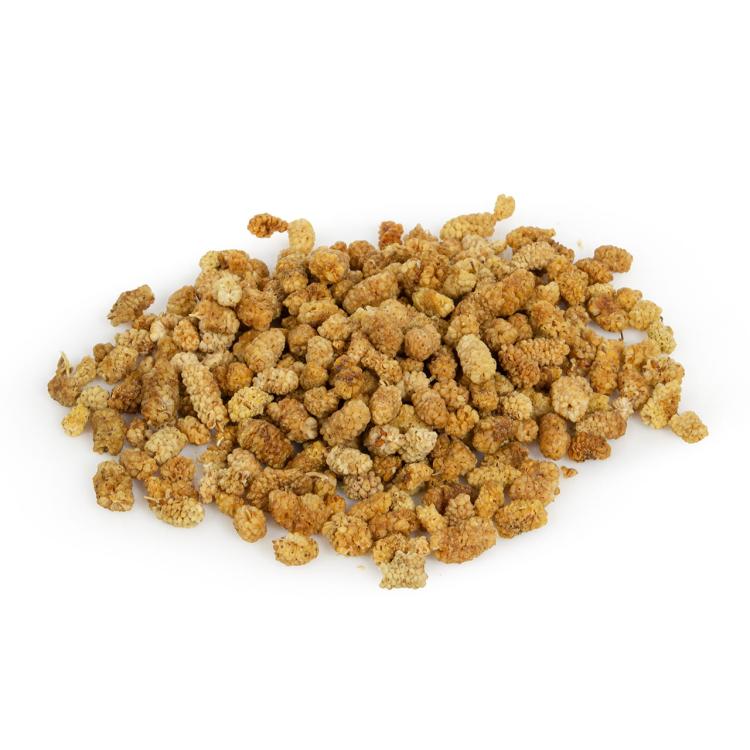 Wagner's - Morwa suszona dla wszystkich papug 100g od ParrotPlanet.pl