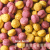 Vital Pellets Fruit & Vegetable Blend - granulat dla średnich i dużych 900g od ParrotPlanet.pl