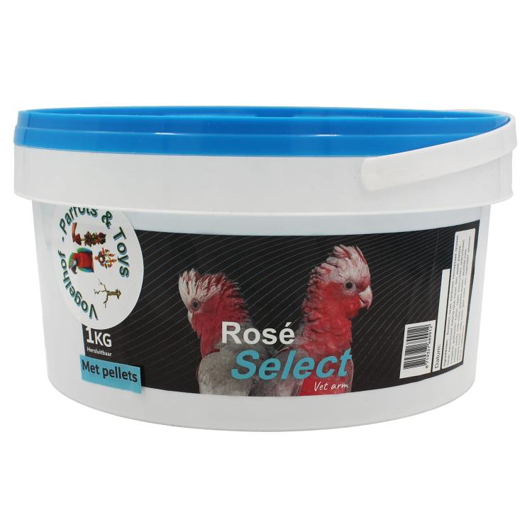 Rose-1.jpg