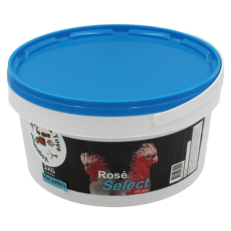 Rose-2.jpg
