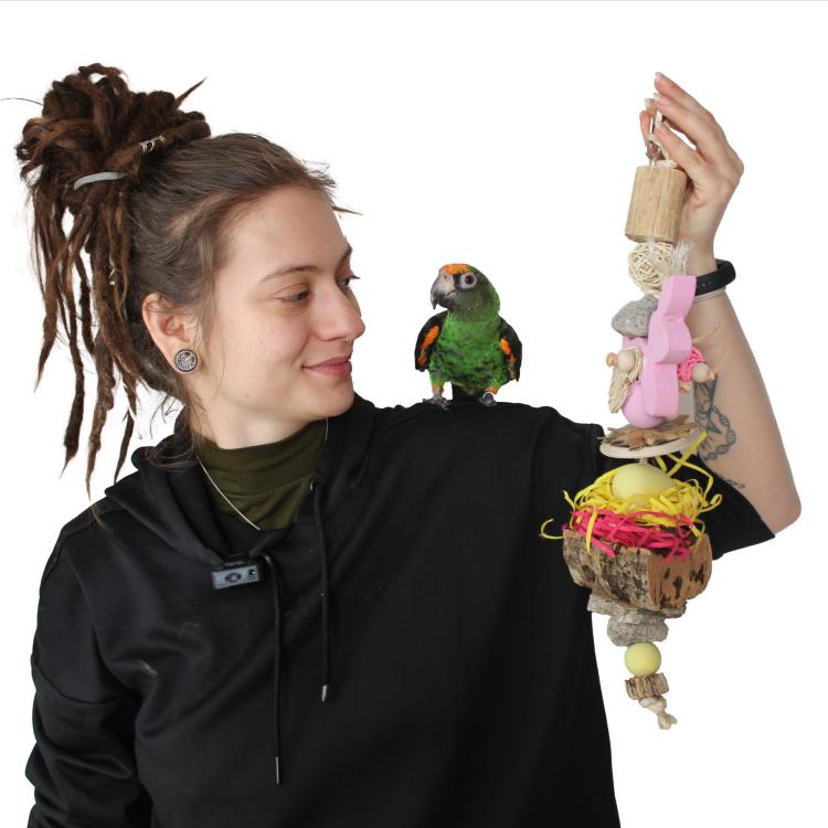 Wielkanocny Królik - Zabawka dla średnich i dużych papug od ParrotPlanet.pl