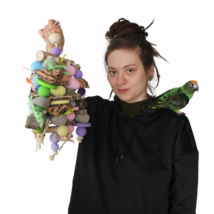 Jajeczny Koszyk  - Zabawka dla średnich i dużych papug od ParrotPlanet.pl