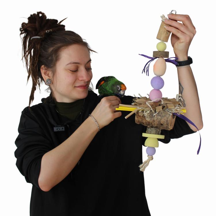 Happy Easter - Zabawka dla małych i średnich papug od ParrotPlanet.pl