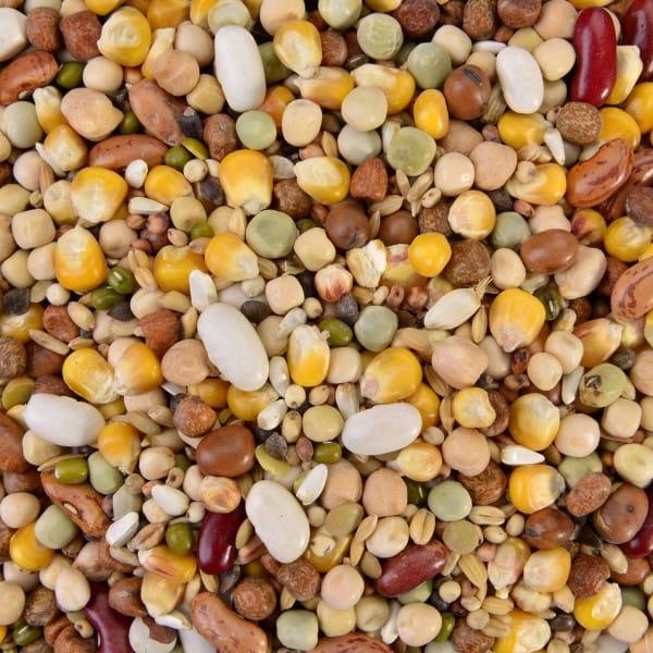 Wagner's Dinner - Mix obiadowy do gotowania, lub namaczania 1kg od ParrotPlanet.pl